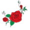 Ally S Avatar